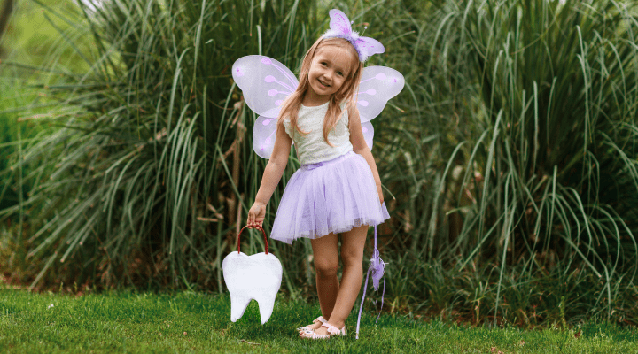 tooth fairy costume